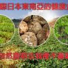日式烘乾蒟蒻麵