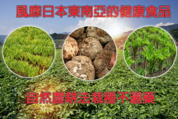 日式烘乾蒟蒻麵