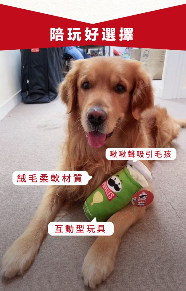 PRINGLES 寵物玩具