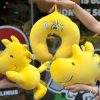 (預購)麥味登 X SNOOPY 聯名(2025/06中旬開賣)