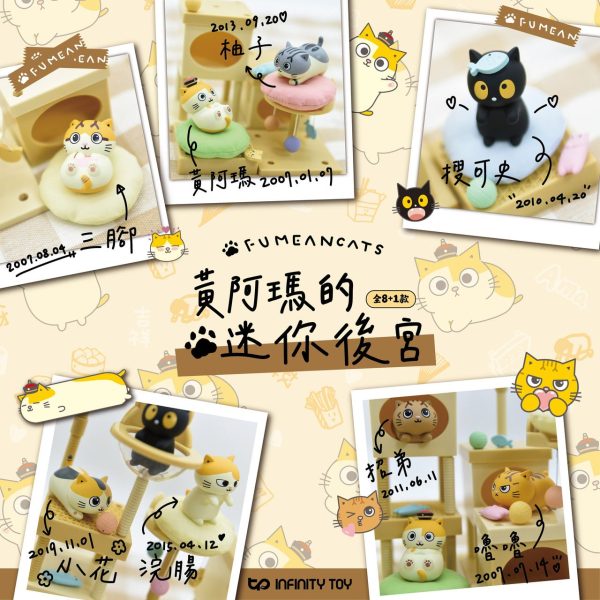 (預購)【黃阿瑪的迷你後宮】一中盒