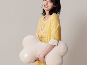 DINOTAENG X 台灣品牌Yvonne Collection 聯名家居用品系列 BOBO 中骨頭抱枕