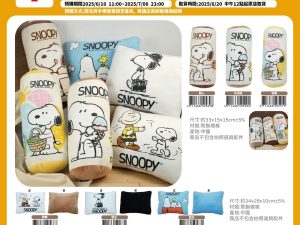 (即日-2025/07/06)SNOOPY 居家系列 抱枕