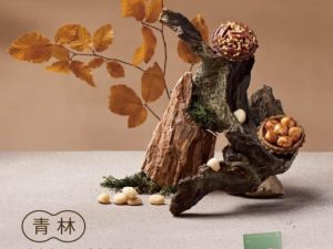 🥮2025中秋禮盒🥮限時早鳥優惠 上信饌玉  青林禮盒 📌預計出貨日：2025/09/22-26