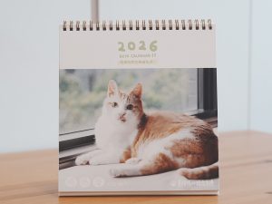 預購-2026 瑪瑪懶活 年曆系列 B ) 2026 瑪瑪懶活桌曆