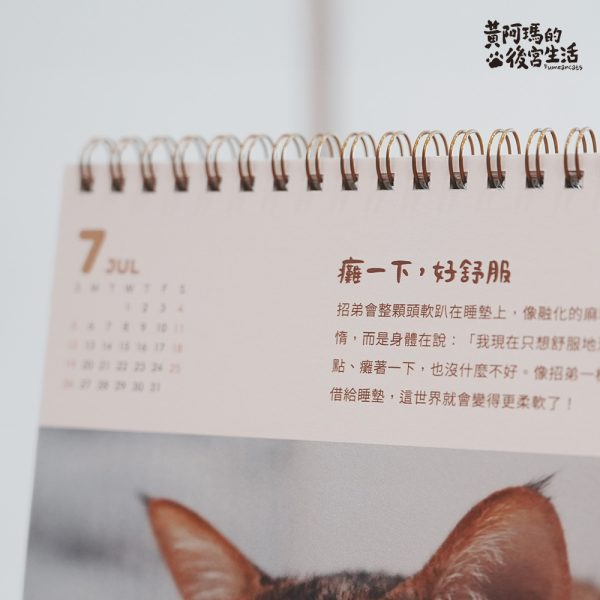 預購-2026 瑪瑪懶活 年曆系列 B ) 2026 瑪瑪懶活桌曆