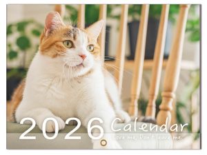 2026 年桌曆 貓咪月曆