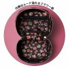 預購-日雜系列 ANNA SUI 箱型化妝包