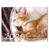 2026 年桌曆 貓咪月曆