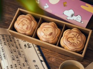 威秀影城 SNOOPY中秋系列 D ) SNOOPY絨毛月餅禮盒(3入組)