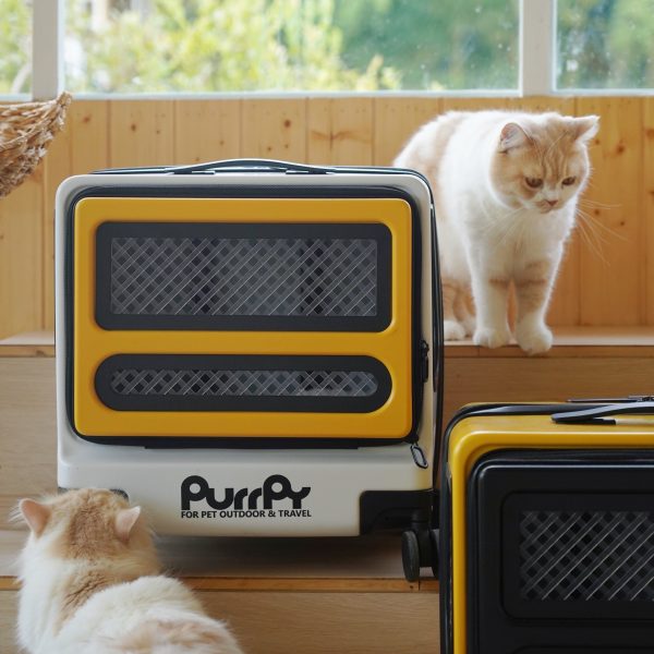 (2025/10/02-11/02)世界動物日～毛孩的幸福時光