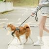 (2025/10/02-11/02)世界動物日～毛孩的幸福時光