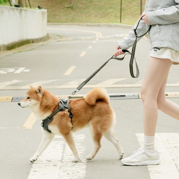 (2025/10/02-11/02)世界動物日～毛孩的幸福時光