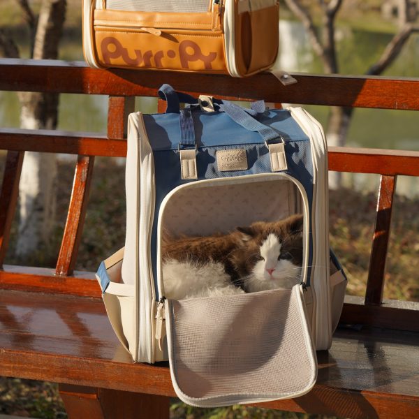 (2025/10/02-11/02)世界動物日～毛孩的幸福時光