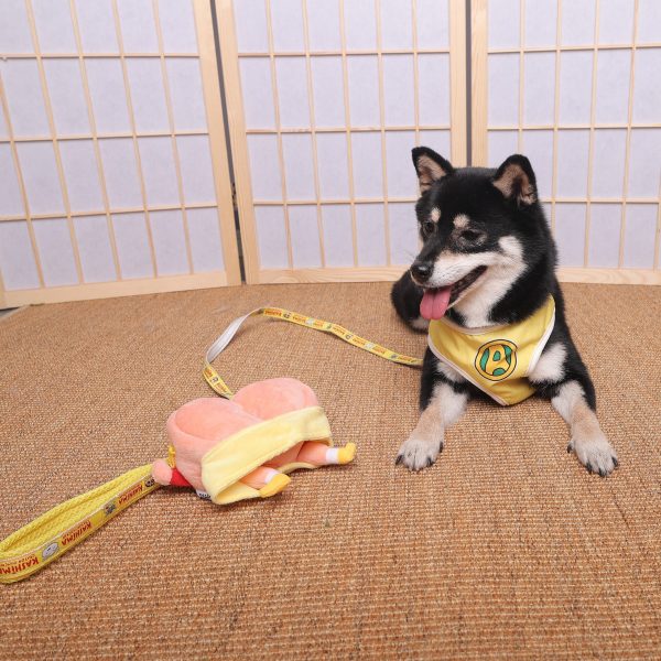 (2025/10/02-11/02)世界動物日～毛孩的幸福時光