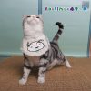 (2025/10/02-11/02)世界動物日～毛孩的幸福時光