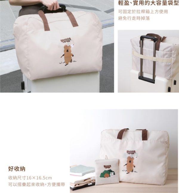 DINOTAENG x Norns新品 DINOTAENG 萌趣輕旅行3件組