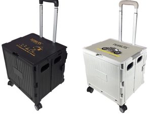 SNOOPY史努比 購物車