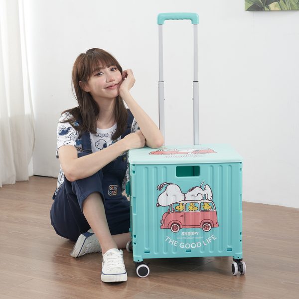 (2025/10/01-11/30)SNOOPY實用生活小物
