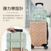 【預購】玉桂狗時尚手提收納箱(淺綠款)