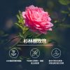 TTM 【大地祭限定系列｜玫好相遇】超限量！玫好相遇基礎組