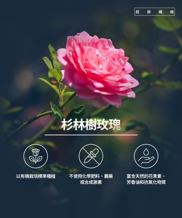 TTM 【大地祭限定系列｜玫好相遇】超限量！玫好相遇基礎組