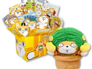 1 白爛貓雜貨舖-白爛貓爛爛發財樹福箱