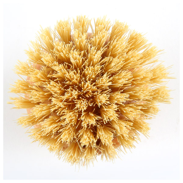 8982306_02 ⚡版主好物推薦⚡ NITORI 魔術去油原木砧板刷