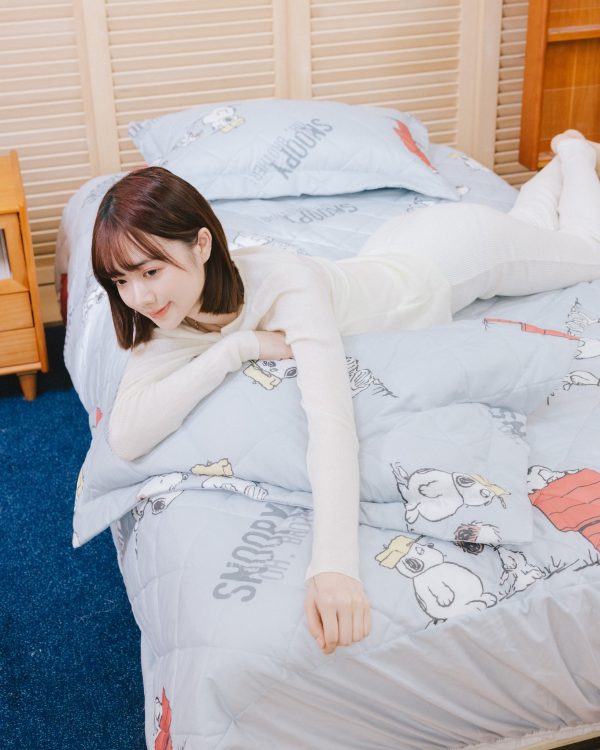 卡通石墨烯寢具 系列H (2025/11/06-12/30)卡通石墨烯寢具 系列 石墨烯雙人鋪棉床包枕套組