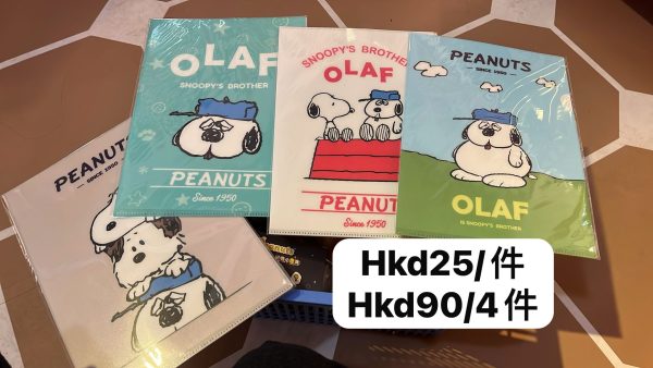 WhatsApp Image 2025-12-12 at 11.48.46 SNOOPY 快閃店 新品 - 花生漫畫 A4 FILE (下單時請於REMARKS 標註所需款式)