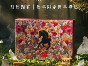 簡單李【馭馬歸真】2026馬年過年禮盒 12入 🧧🐎2026春節禮盒 早鳥優惠🐎🧧簡單李 馭馬歸真📌截單日:2026/01/10 20:00 (以轉賬確認為準)